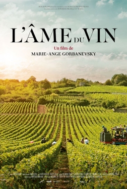 L'Âme du vin 2019