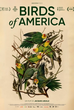 Birds of America 2022