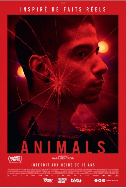 Animals 2023 streaming film