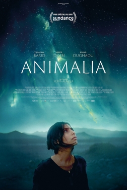 Animalia  2023 streaming film