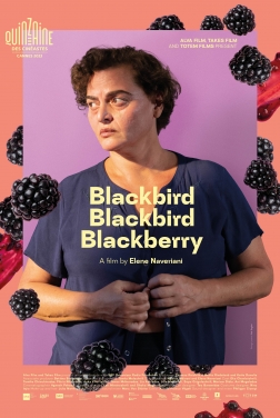 Blackbird Blackbird Blackberry  2023