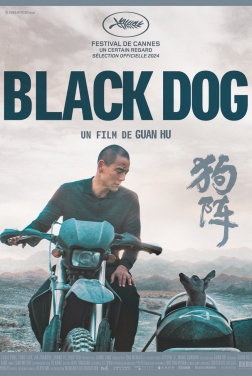 Black Dog 2025